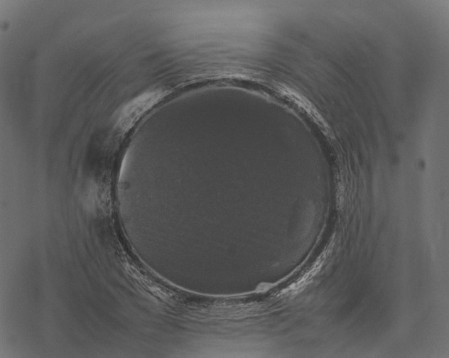 X0000077290977200611031546