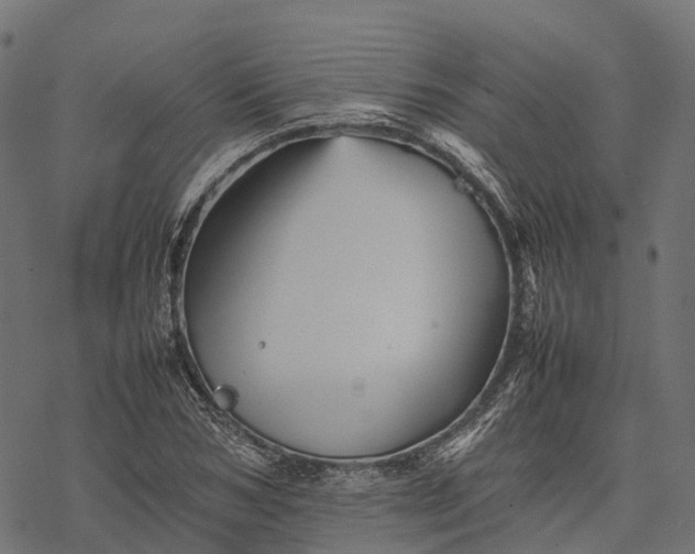 X0000077290978200611031546