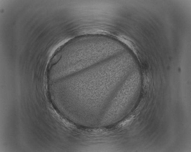 X0000077290979200611031546