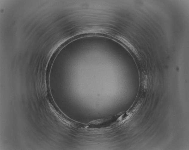 X0000077290980200611031546