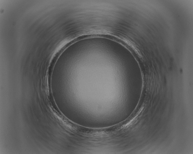 X0000077290982200611031546