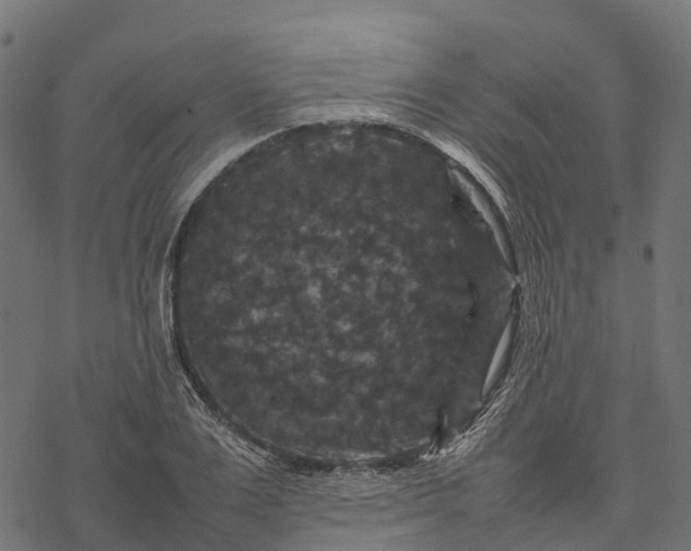 X0000077290983200611031546