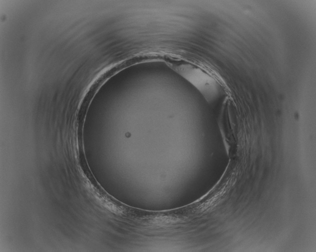 X0000077290984200611031546