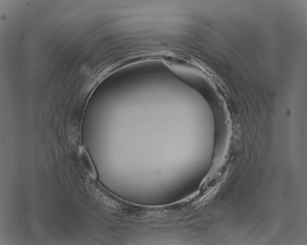 X0000077290985200611031546