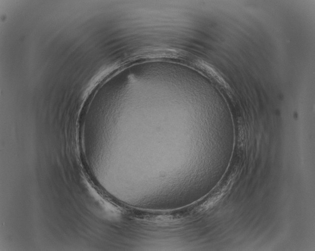 X0000077290986200611031546