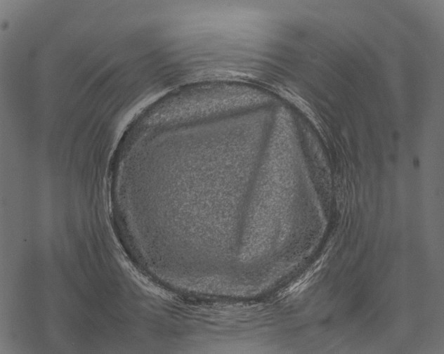 X0000077290987200611031546