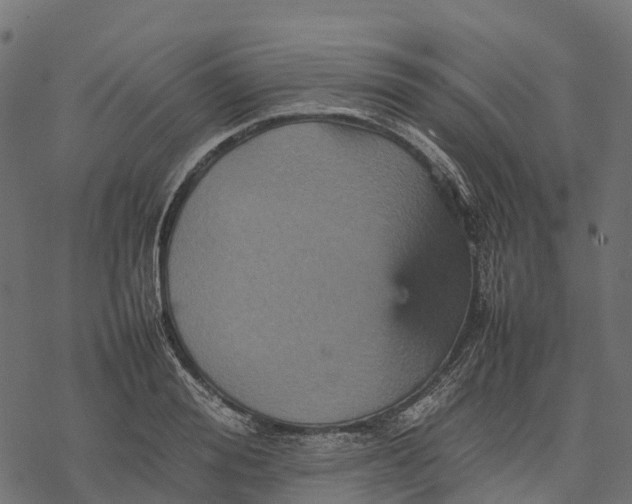 X0000077290988200611031546