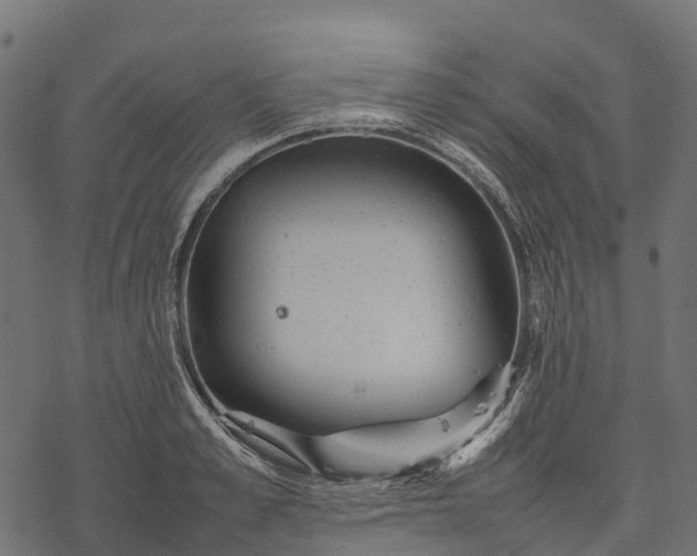 X0000077290989200611031546