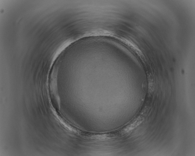 X0000077290990200611031546