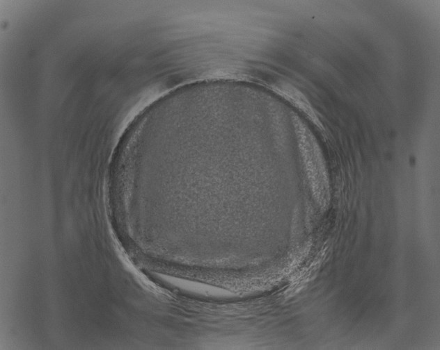 X0000077290991200611031546