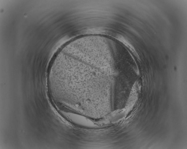 X0000077290992200611031546