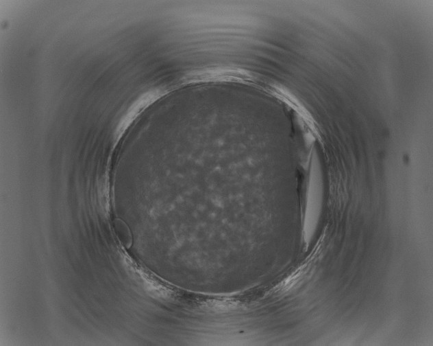 X0000077290994200611031546