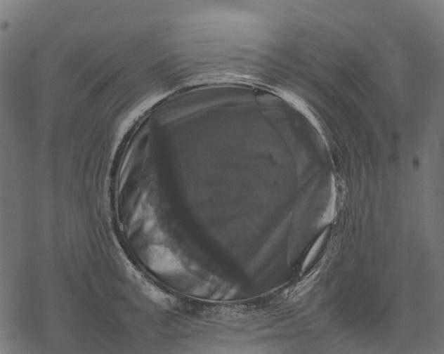 X0000077290995200611031546