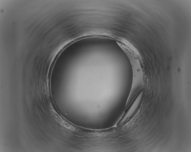 X0000077290996200611031546