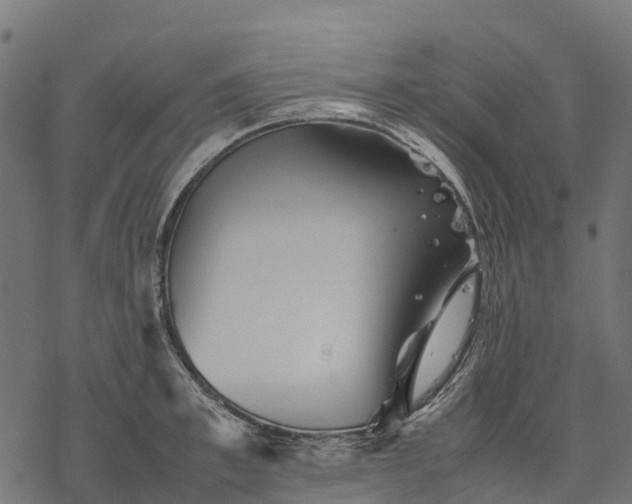 X0000077290997200611031546