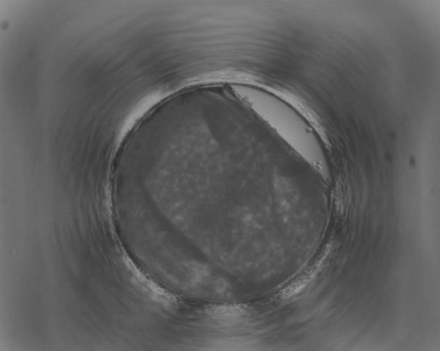 X0000077290998200611031546