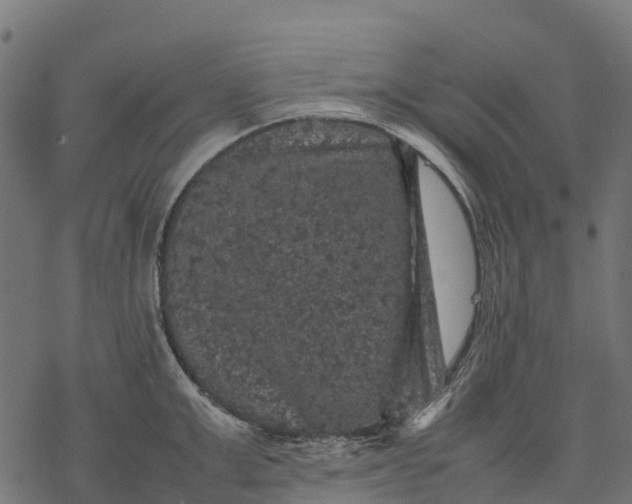 X0000077290999200611031546