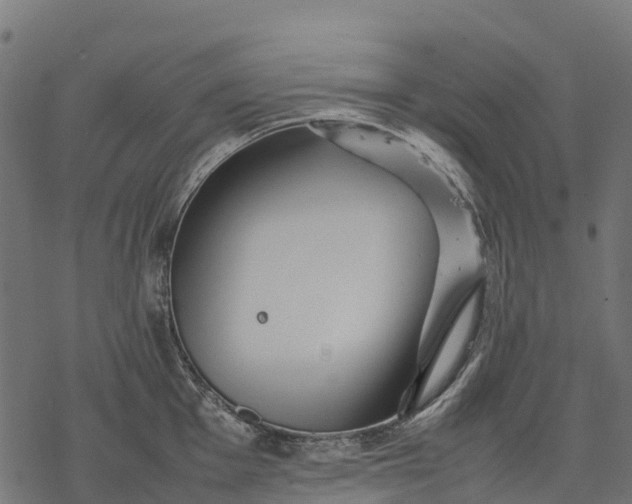 X0000077291001200611031545