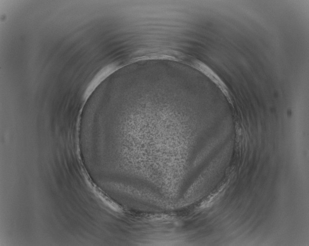 X0000077291002200611031545