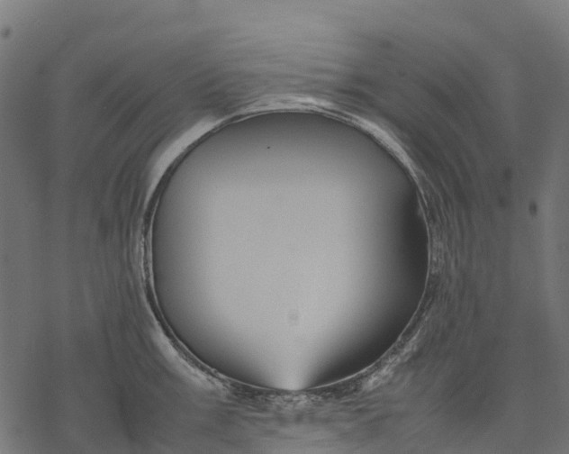 X0000077291003200611031545