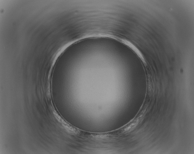 X0000077291004200611031545