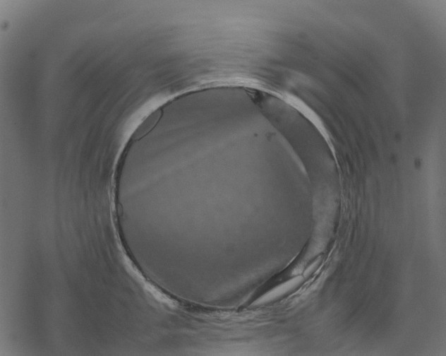 X0000077291005200611031545