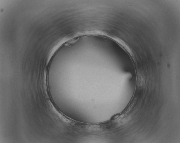 X0000077291006200611031545