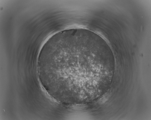 X0000077291008200611031545