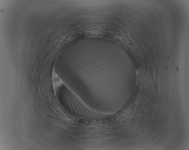 X0000077291009200611031545