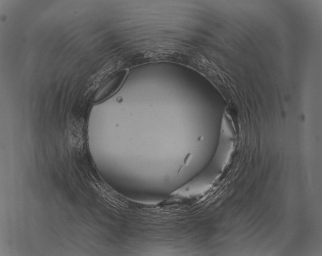 X0000077291012200611031545