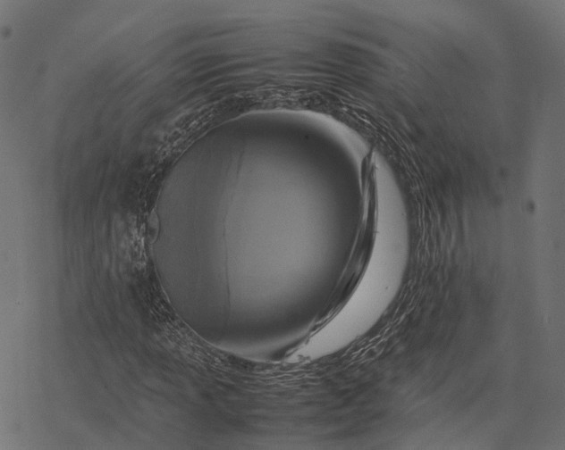 X0000077291013200611031545