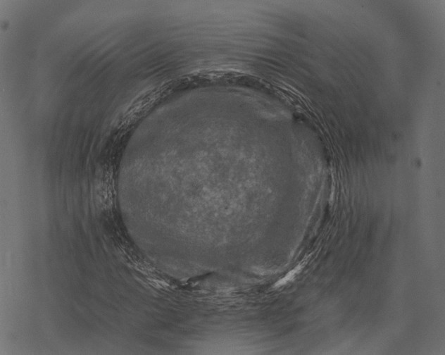 X0000077291014200611031545