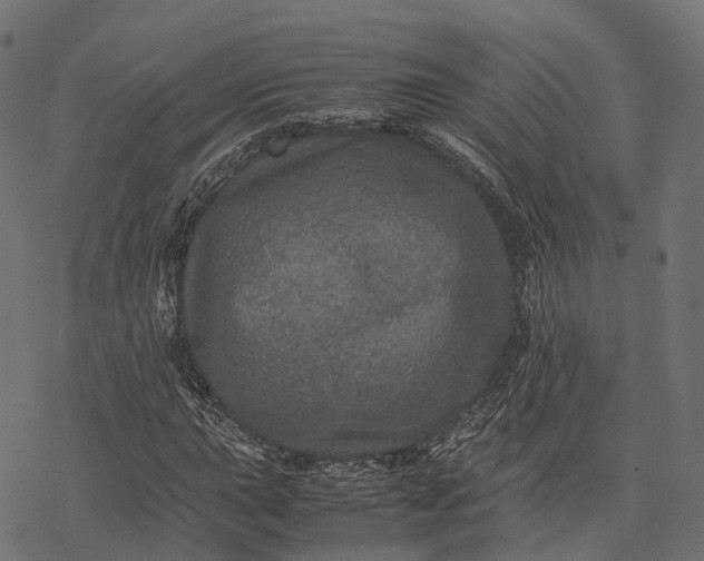 X0000077291015200611031545