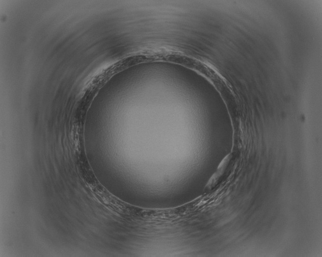 X0000077291016200611031545