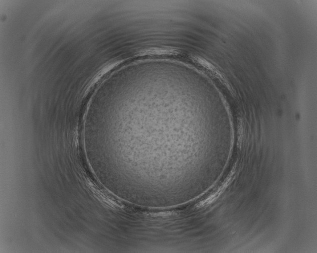 X0000077291017200611031545