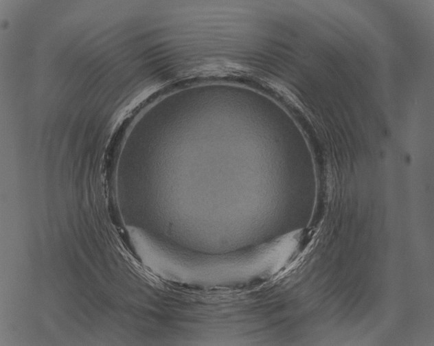 X0000077291018200611031545