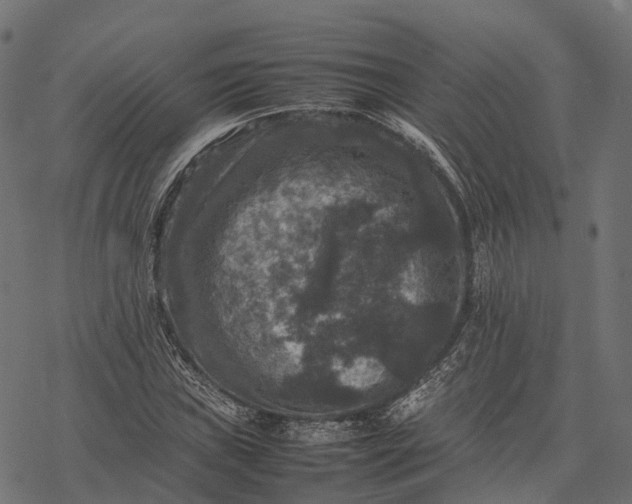 X0000077291019200611031545