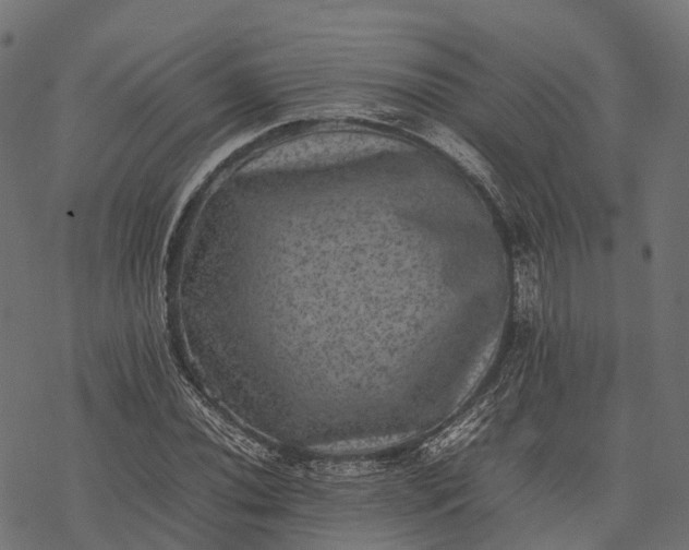 X0000077291020200611031545