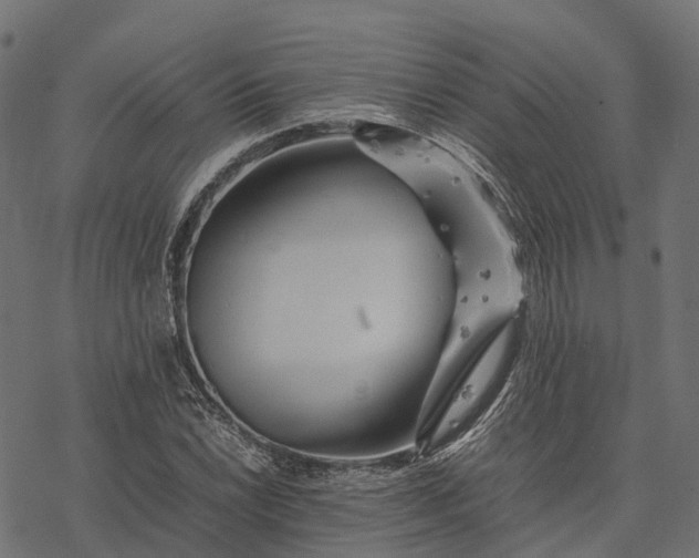 X0000077291022200611031545