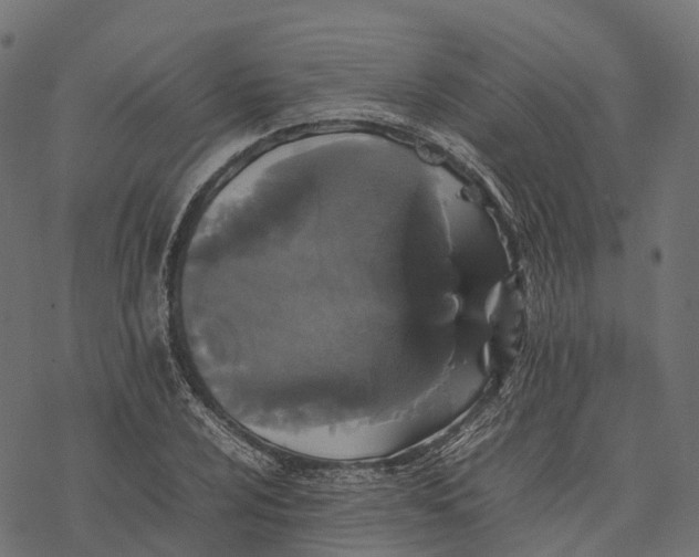 X0000077291024200611031545