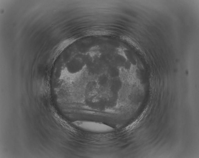 X0000077291025200611031545