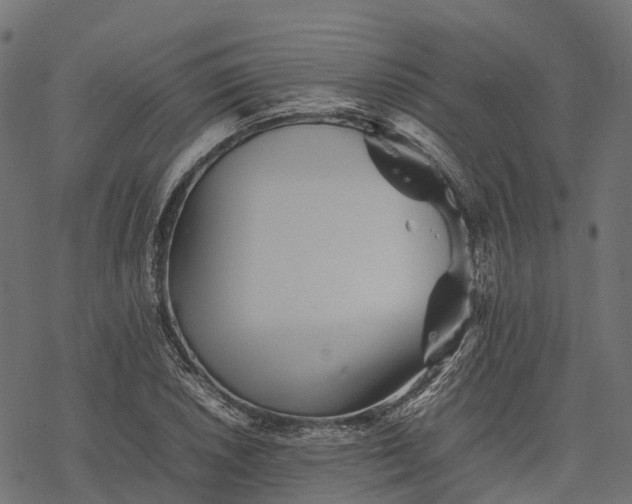 X0000077291026200611031545