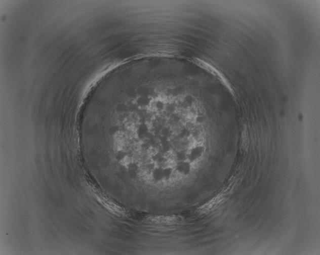 X0000077291027200611031545