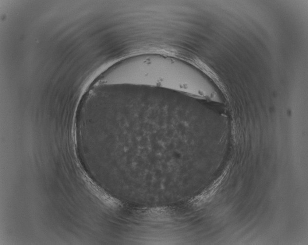 X0000077291028200611031545