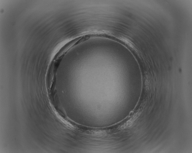 X0000077291030200611031545