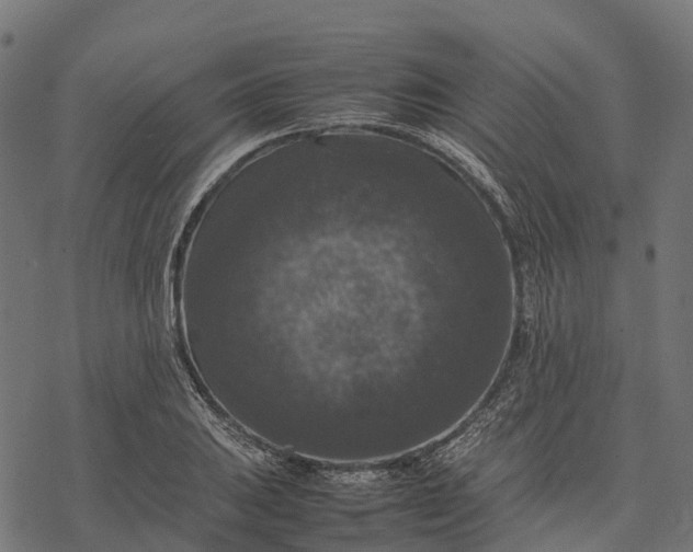 X0000077291031200611031545