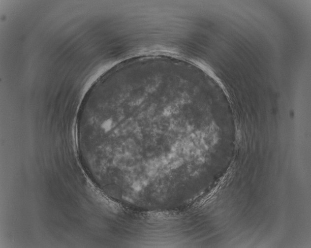 X0000077291032200611031545