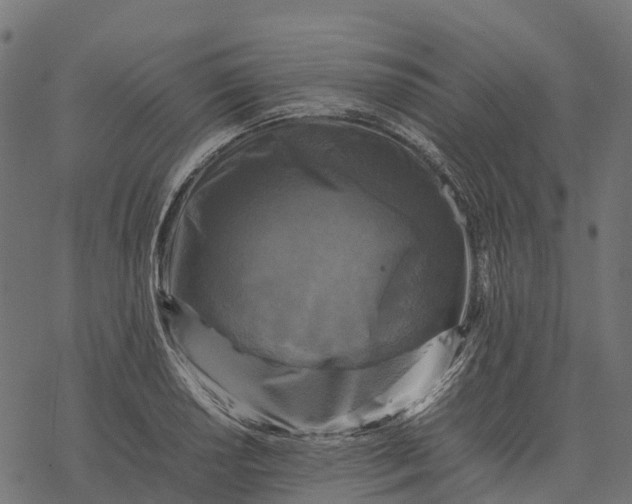 X0000077291034200611031545