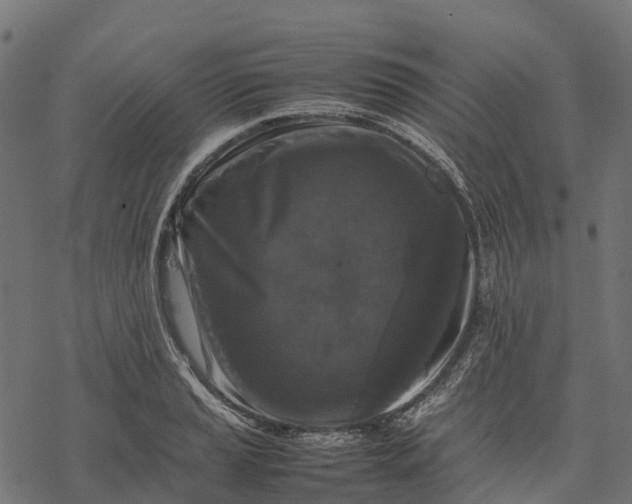 X0000077291037200611031545