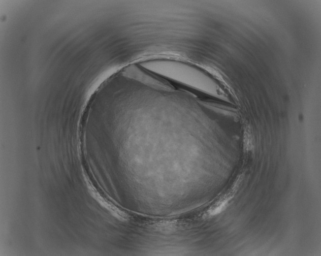 X0000077291038200611031545